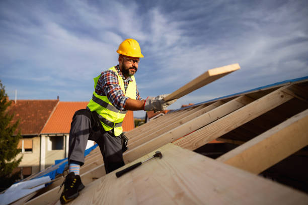 Best Roof Installation  in Hays, MT